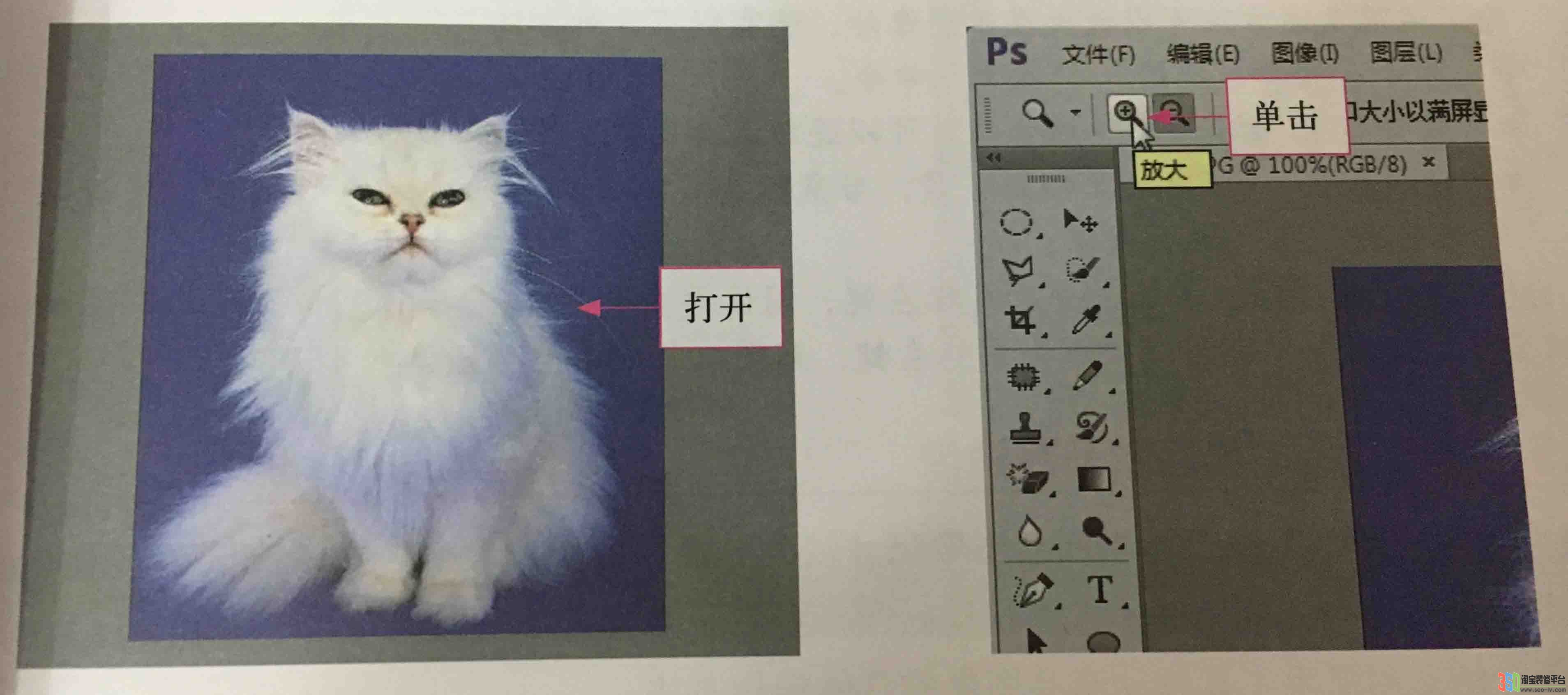 放大圖像