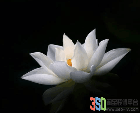 素材