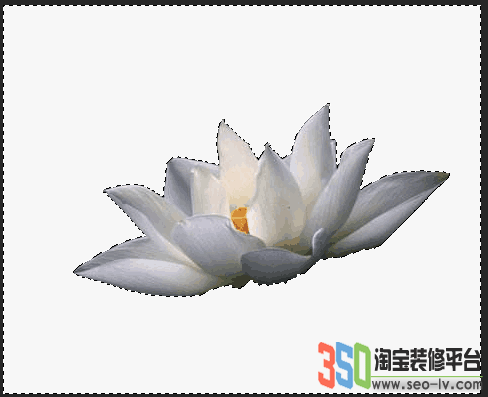 填充前景色